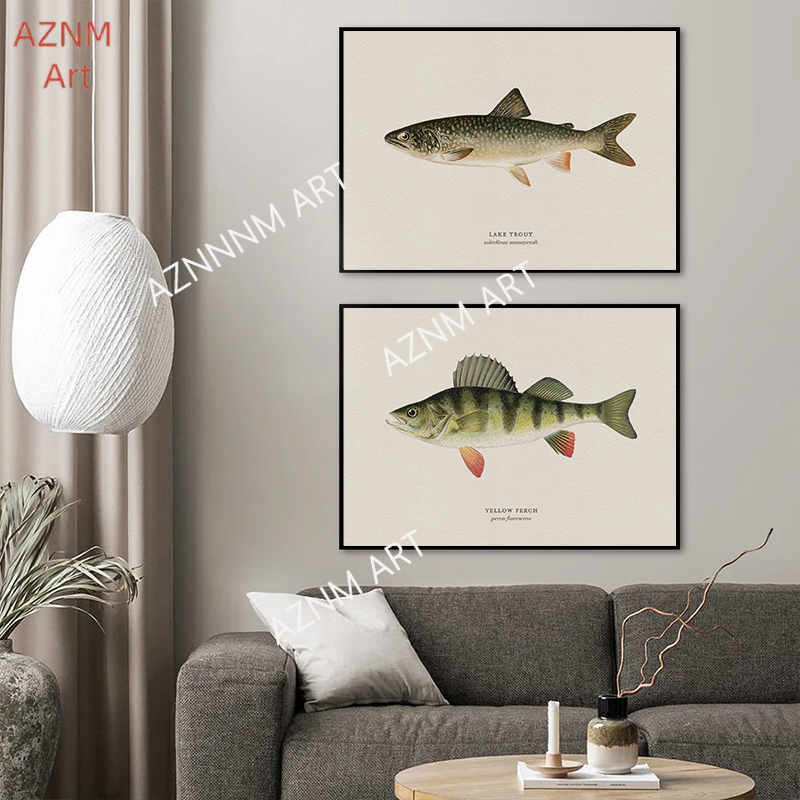 Vintage Bass Fish Trout Fly Fi - Vintage Fashion Wall Art recension och pris
