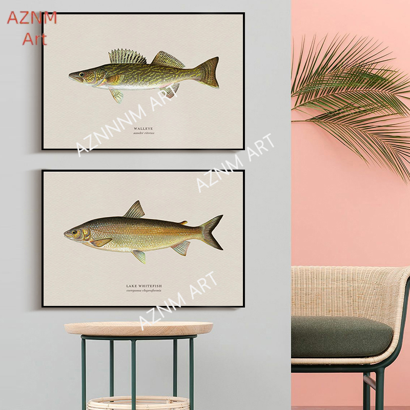 Vintage Bass Fish Trout Fly Fi - Vintage Fashion Wall Art recension och pris