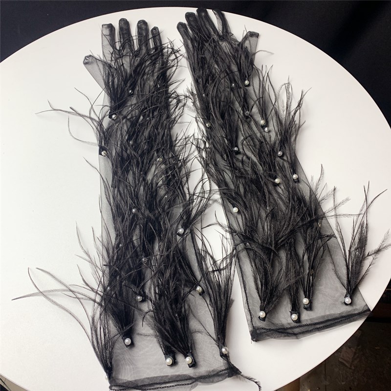 Women's Elegant Black Feather  - Vintage Fashion Photographers recension och pris