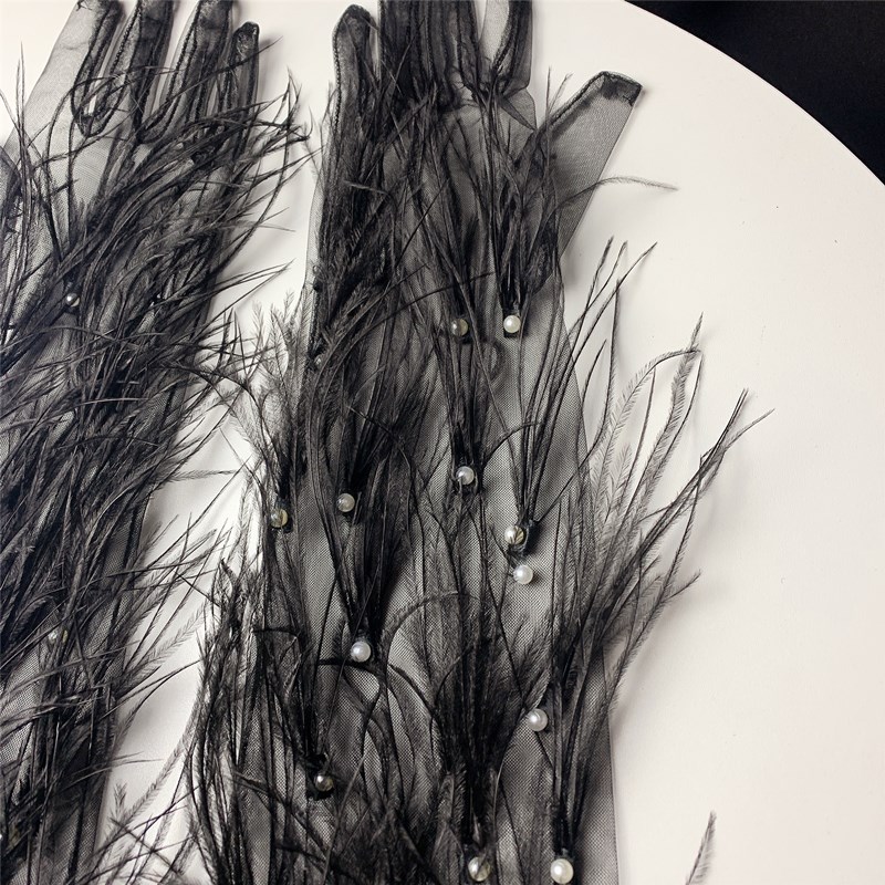 Women's Elegant Black Feather  - Vintage Fashion Photographers recension och pris